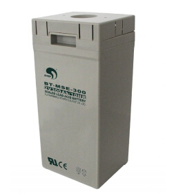 賽特蓄電池BT-MSE-300